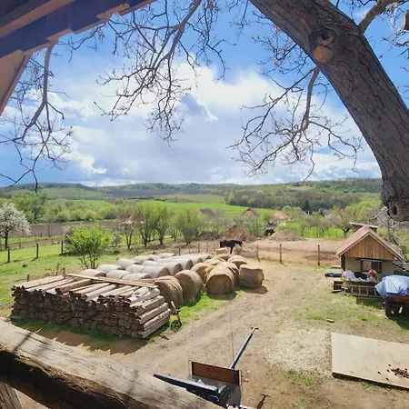 Pajta Vendeghaz Lejlighed Balatonendréd